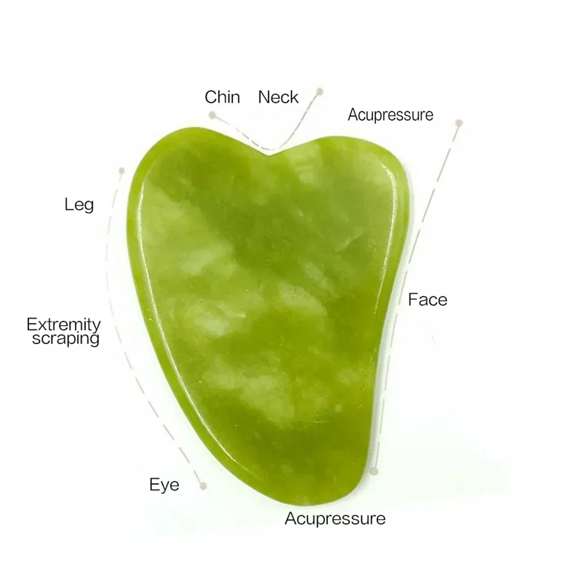 🌿 Natural Jade Roller & Gua Sha 🌿